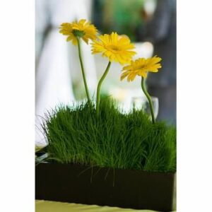 Wooden 12" x 12" Container