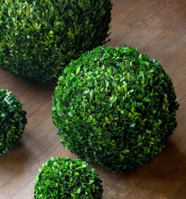 Boxwood Ball 16"