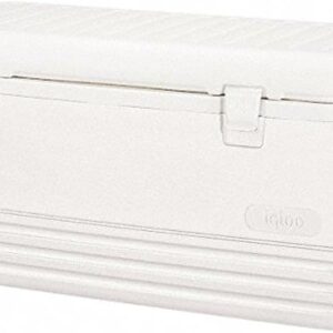Large Ice Chest (120qt)