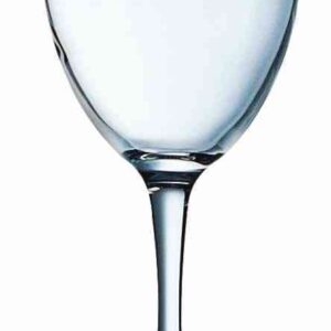 All Purpose Wine Glass-25/rack