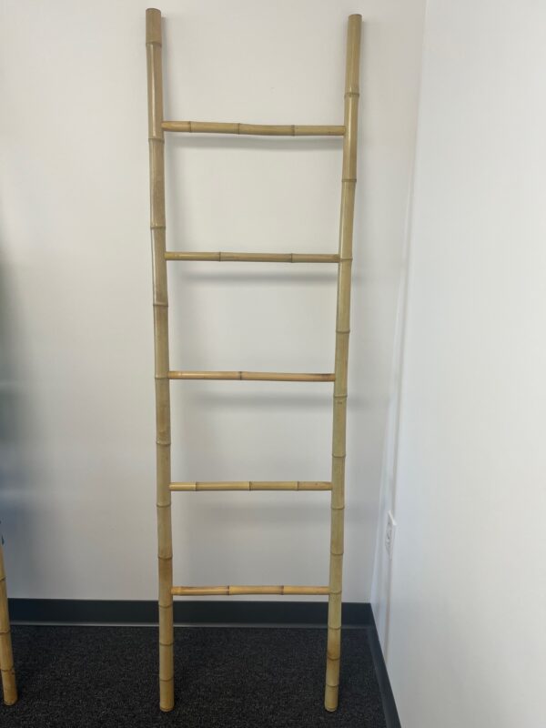 Bamboo Ladder