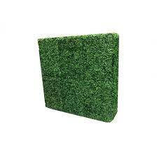Boxwood Hedge - 4'x4'