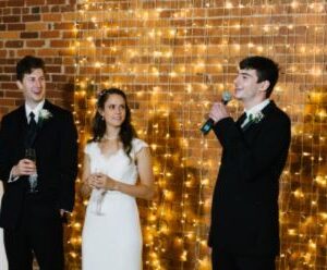 Twinkle Light Wall 12' Wide