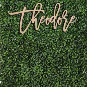 Custom Name Sign Backdrop