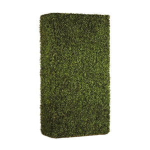 Boxwood Hedges - 4'x8'