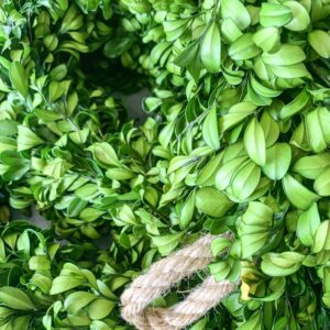 Boxwood Garland 2.5" x 6'