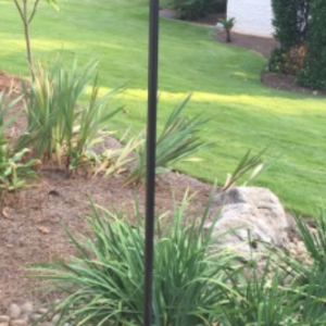 Black Iron Double Oil Candelabra