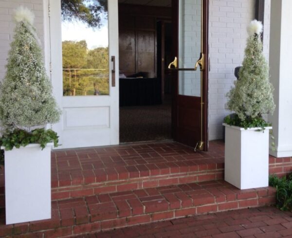 White Wooden Pedestal