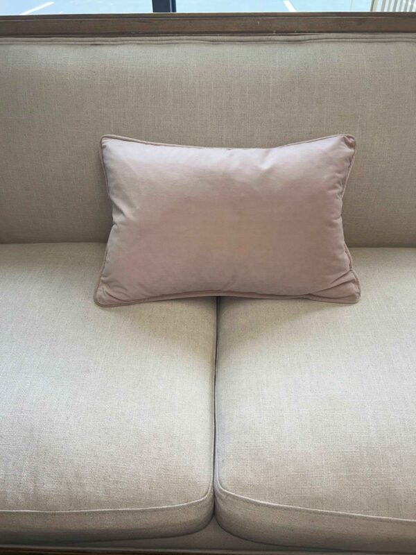 Blush Pink Velvet Pillow